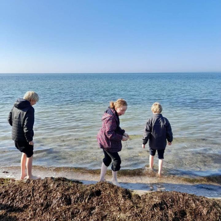 Skelby Praestegaard Gedser Exteriör bild